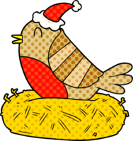 hand drawn comic book style illustration of a bird sitting on nest wearing santa hat png