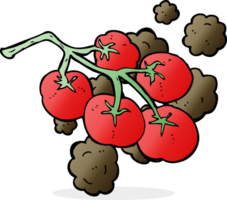 tomates verdes en la ilustración de la vid png