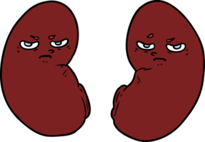 cartoon irritated kidneys png