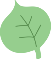 simple cartoon leaf png