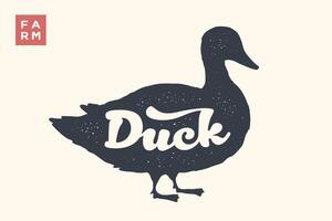 Duck. Lettering, typography. Animal silhoutte duck, lettering vector
