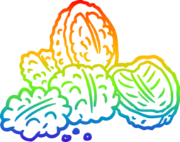 rainbow gradient line drawing of a walnuts png