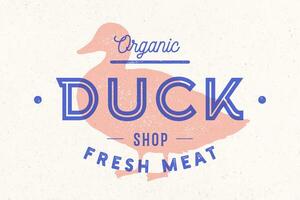 Duck meat. Poster for Butchery meat shop vector