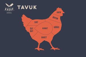 Meat cuts. Poster Butcher diagram - Chicken on turkish vector