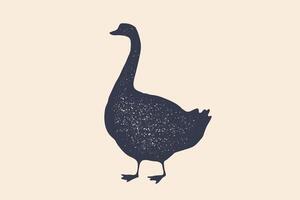 Goose, bird. Concept design of farm animals vector