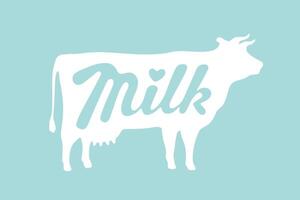 Lettering Milk and silhouette cow vector