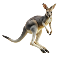 A kangaroo is leaping through the air png