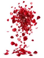 A bunch of red petals are scattered in the air, creating a sense of movement png