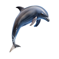 ein Delfin ist springen aus von das Wasser png