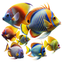 A group of colorful fish with one of them having a blue stripe png