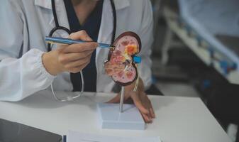 hembra médico explicando a paciente resultados de modelo el proceso de pacientes diagnóstico de enfermedades para modelo interno Organo. foto