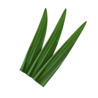 pandan foglia illustrazione png