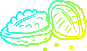 cold gradient line drawing of a walnuts png