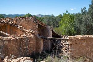 destroyed abandoned village hut with a sloping roof in a field in poor condition photo