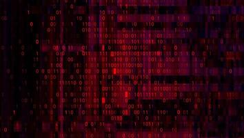 Digital Binary Code on Dark Red Background. Data Breach vector