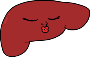 cartoon pretty liver png