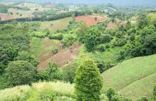 Aerial view landscape of plantation area and green trees on complicated hill in Nan province, northern of Thailand. photo