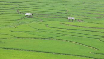 Top vieAeriel view of terrace rice field with old hut at Nan province, Thaoland.w of terrace rice field with old hut at Nan province, Thaoland. photo