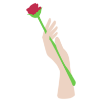 rosa che tiene la mano png