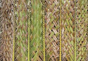 Eco-friendly wall woven from a coconut leaf. Abstract nature background. photo