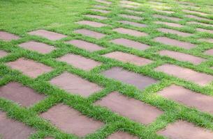 Green grass with stone tiled floor pattern. photo