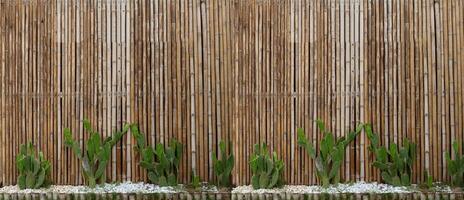 Bamboo wall decorated with green cactus photo