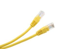 amarillo red cables con moldeado rj45 enchufe en transparente antecedentes foto