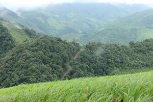 Green rice terraces on complicated hills in Nan Province, Thailand. photo