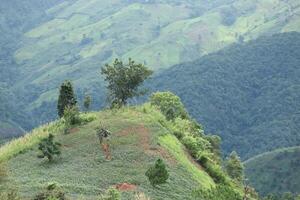 Rice terraces and corn field with panorama shot on mountain in Nan Province, northern of Thailand. photo