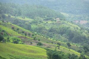 Rice terraces and corn field with panorama shot on mountain in Nan Province, northern of Thailand. photo