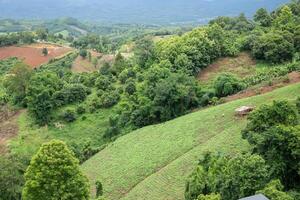 Mountain in Nan Province, northern of Thailand photo