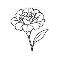 A Line Art of a Carnation vector