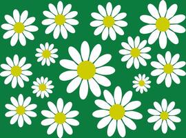 Seamless Daisies Pattern on Green Backgrounds vector