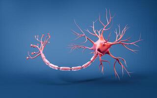 Biology nerve cell with biomedicine concept, 3d rendering. photo