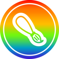 pintar cepillo circular icono con arco iris degradado terminar png