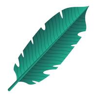 Tropical Leaf Illustration vector