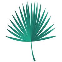 Tropical Leaf Illustration vector