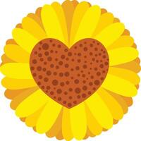 Sunflower with heart isolated on a white vector
