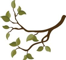 Branch tree with green leaves vector