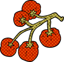 cartoon doodle tomatoes on vine png