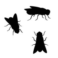 set of fly silhouette design. insect sign and symbol. vector