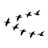 Canada goose silhouette design. wild duck flying in group. vector