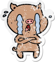 distressed sticker of a crying pig cartoon png