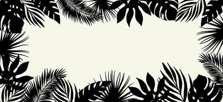 Banner template with tropical leaves, palm branches. Black and white tropical background. vector