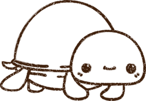 lindo dibujo de carboncillo de tortuga png