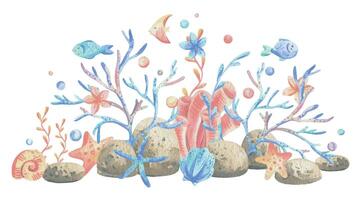 Sea corals, algae, shells, starfish, fish, bubbles. Watercolor illustration hand drawn in coral, turquoise and blue colors. Composition isolated from the background. vector
