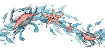 azul cangrejos, en forma de onda algas marinas con estrella de mar y agua burbujas acuarela ilustración mano dibujado en turquesa y coral colores. sin costura borde, modelo aislado desde antecedentes vector