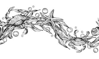 azul cangrejos, en forma de onda algas marinas con estrella de mar y agua burbujas gráfico ilustración mano dibujado en negro tinta. sin costura modelo frontera eps . vector