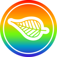 natürlich Blatt kreisförmig Symbol mit Regenbogen Gradient Fertig png