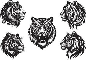 tiger head, tiger head illustration vector